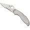 Spyderco 2024 Spyderco Reveal 10, Uptern Lock Back, Combo Edge SPY-C261PS - alternate 3